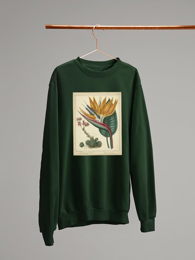 Golden Bird Of Paradise Sweatshirt -Sydenham Edwards Designs