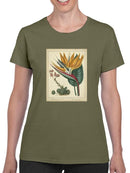 Golden Bird Of Paradise T-shirt -Sydenham Edwards Designs