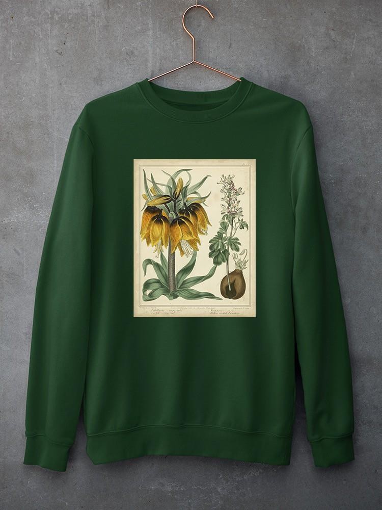 Golden Crown Imperial Sweatshirt -Sydenham Edwards Designs