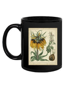 Golden Crown Imperial Mug -Sydenham Edwards Designs