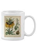 Golden Crown Imperial Mug -Sydenham Edwards Designs