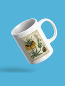 Golden Crown Imperial Mug -Sydenham Edwards Designs