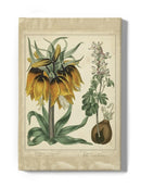 Golden Crown Imperial Wall Art -Sydenham Edwards Designs