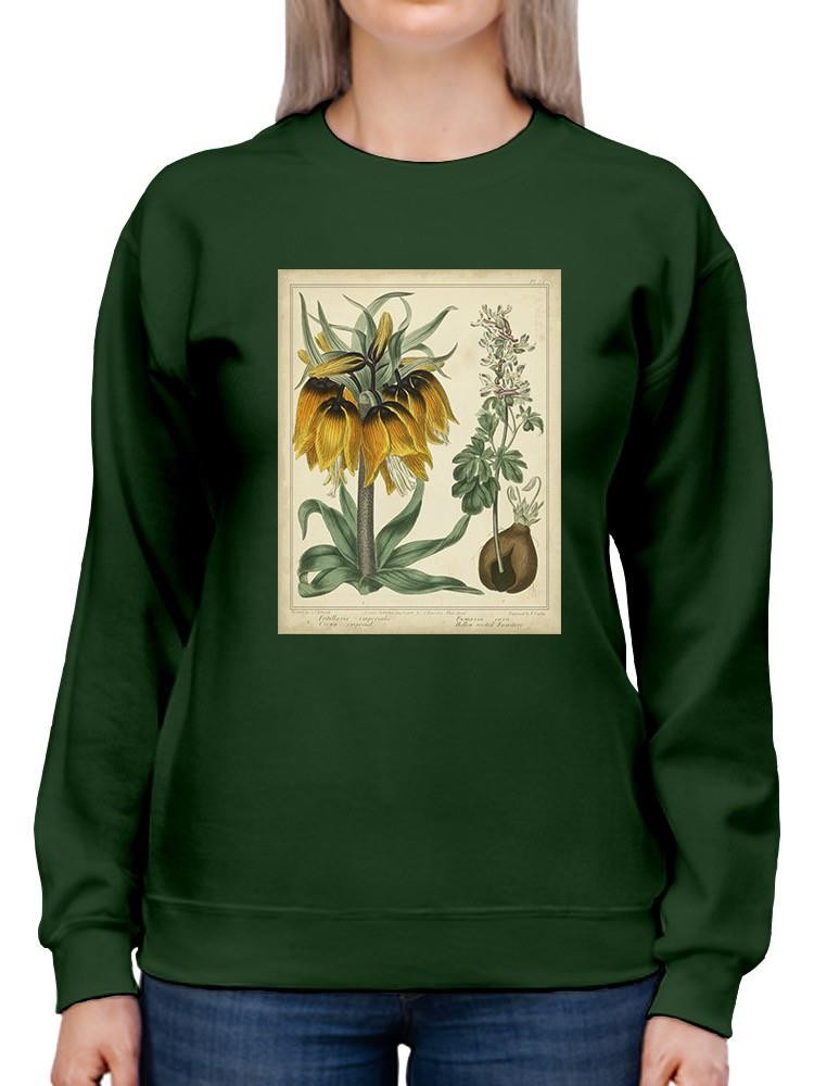 Golden Crown Imperial Sweatshirt -Sydenham Edwards Designs