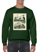 Heron And Crane Sweatshirt -Sydenham Edwards Designs