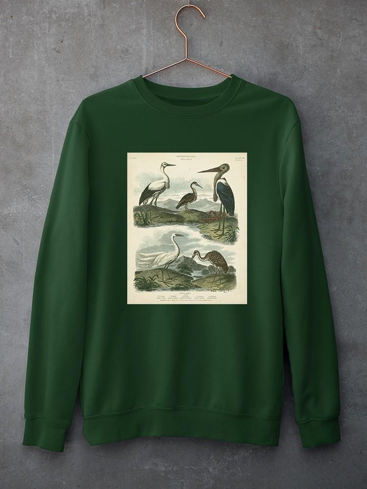 Heron And Crane Sweatshirt -Sydenham Edwards Designs
