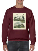 Heron And Crane Sweatshirt -Sydenham Edwards Designs