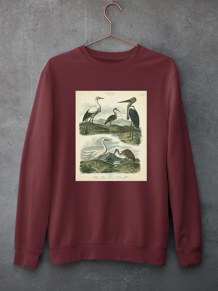 Heron And Crane Sweatshirt -Sydenham Edwards Designs
