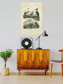 Heron And Crane Wall Art -Sydenham Edwards Designs