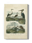Heron And Crane Wall Art -Sydenham Edwards Designs