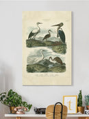 Heron And Crane Wall Art -Sydenham Edwards Designs