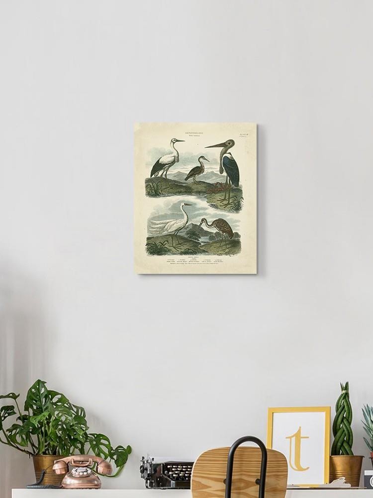 Heron And Crane Wall Art -Sydenham Edwards Designs