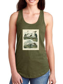 Heron And Crane T-shirt -Sydenham Edwards Designs