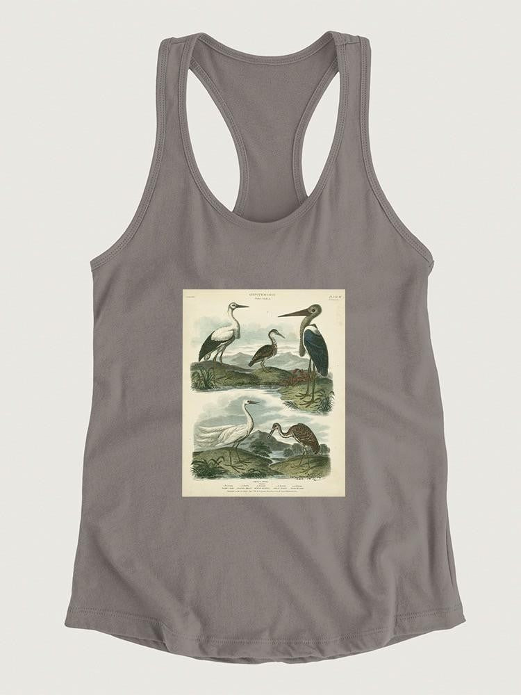 Heron And Crane T-shirt -Sydenham Edwards Designs