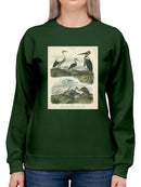 Heron And Crane Sweatshirt -Sydenham Edwards Designs