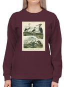 Heron And Crane Sweatshirt -Sydenham Edwards Designs