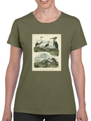 Heron And Crane T-shirt -Sydenham Edwards Designs