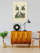 Heron And Crane Ii Wall Art -Sydenham Edwards Designs