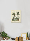 Heron And Crane Ii Wall Art -Sydenham Edwards Designs