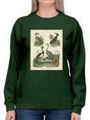 Heron And Crane Ii Sweatshirt -Sydenham Edwards Designs