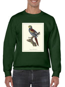 Nonpareil Parrakeet Sweatshirt -Sydenham Edwards Designs