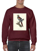 Nonpareil Parrakeet Sweatshirt -Sydenham Edwards Designs