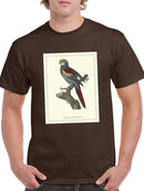 Nonpareil Parrakeet T-shirt -Sydenham Edwards Designs