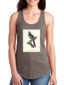 Nonpareil Parrakeet T-shirt -Sydenham Edwards Designs