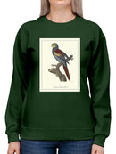 Nonpareil Parrakeet Sweatshirt -Sydenham Edwards Designs
