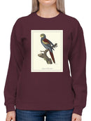 Nonpareil Parrakeet Sweatshirt -Sydenham Edwards Designs