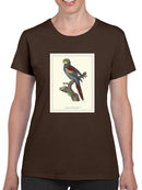 Nonpareil Parrakeet T-shirt -Sydenham Edwards Designs