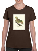 Paradise Parrot T-shirt -Sydenham Edwards Designs