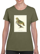 Paradise Parrot T-shirt -Sydenham Edwards Designs