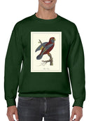 Raja Lory Sweatshirt -Sydenham Edwards Designs