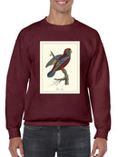 Raja Lory Sweatshirt -Sydenham Edwards Designs