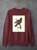 Raja Lory Sweatshirt -Sydenham Edwards Designs