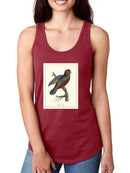 Raja Lory T-shirt -Sydenham Edwards Designs