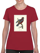 Raja Lory T-shirt -Sydenham Edwards Designs