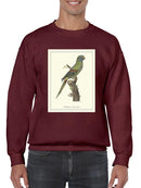 Solstitial Parrakeet Sweatshirt -Sydenham Edwards Designs