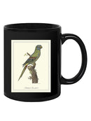 Solstitial Parrakeet Mug -Sydenham Edwards Designs