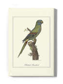 Solstitial Parrakeet Wall Art -Sydenham Edwards Designs