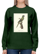Solstitial Parrakeet Sweatshirt -Sydenham Edwards Designs