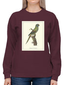 Solstitial Parrakeet Sweatshirt -Sydenham Edwards Designs