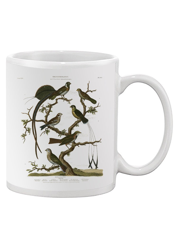 Ornithology I Mug -Sydenham Edwards Designs