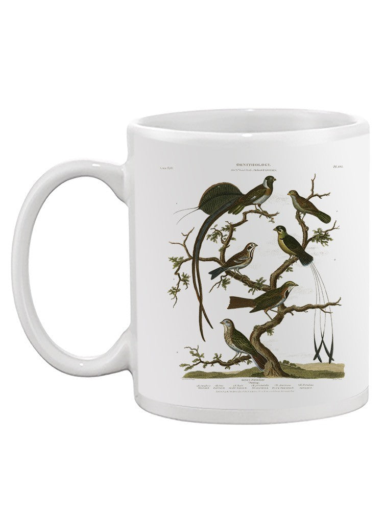 Ornithology I Mug -Sydenham Edwards Designs