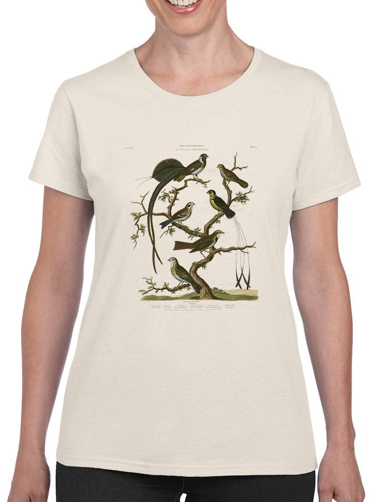 Ornithology I T-shirt -Sydenham Edwards Designs