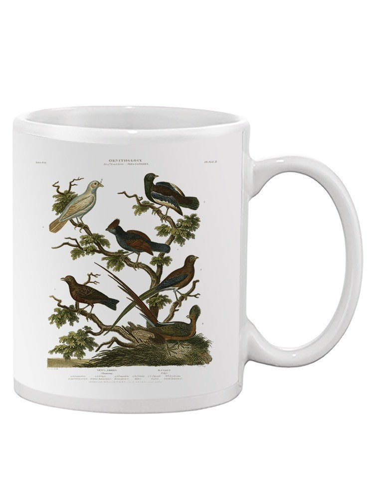 Ornithology Ii Mug -Sydenham Edwards Designs