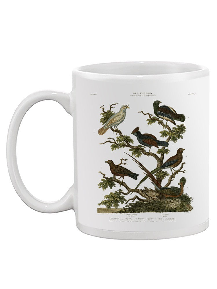 Ornithology Ii Mug -Sydenham Edwards Designs