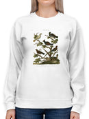 Ornithology Ii Sweatshirt -Sydenham Edwards Designs