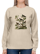 Ornithology Ii Sweatshirt -Sydenham Edwards Designs
